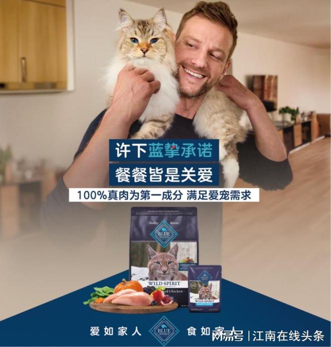 打造全场景喂养方案科学配方守护猫咪健康C