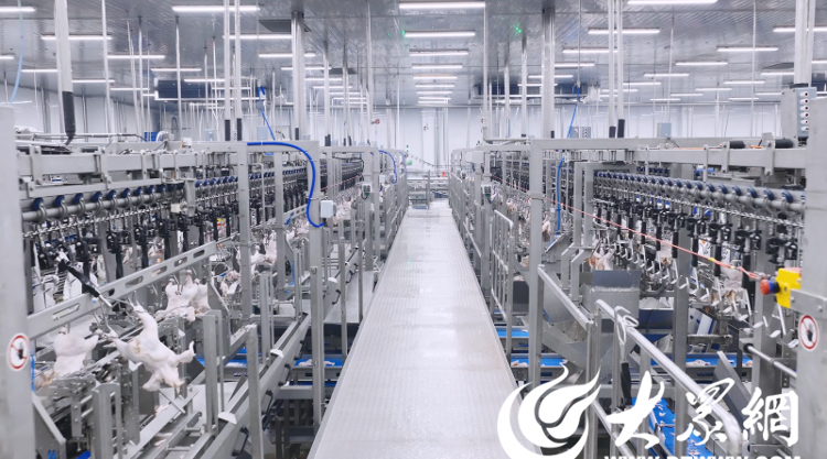 食品：固守正道坚持特色构建全产业链发展格局CQ9电子有限公司【烟台肉鸡四十载】荣华(图5)