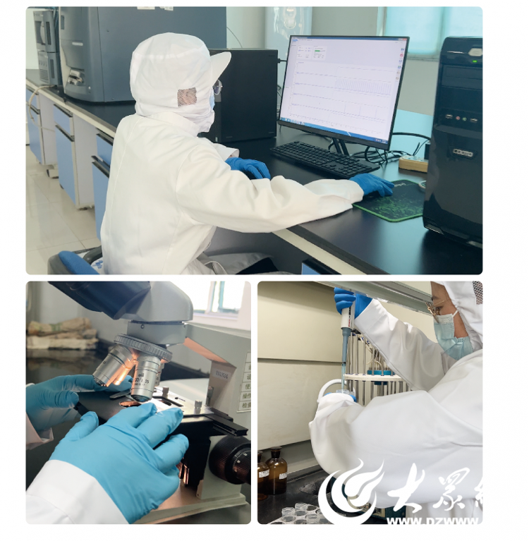 食品：固守正道坚持特色构建全产业链发展格局CQ9电子有限公司【烟台肉鸡四十载】荣华(图8)