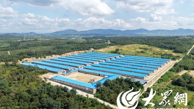 食品：固守正道坚持特色构建全产业链发展格局CQ9电子有限公司【烟台肉鸡四十载】荣华(图10)