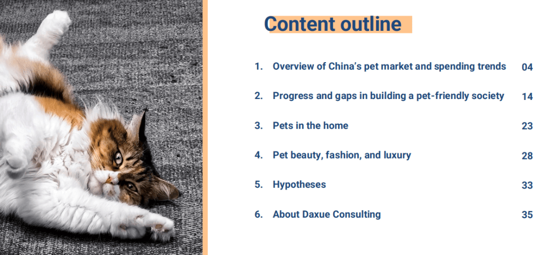 费领域十大关键词深度分析CQ9电子平台入