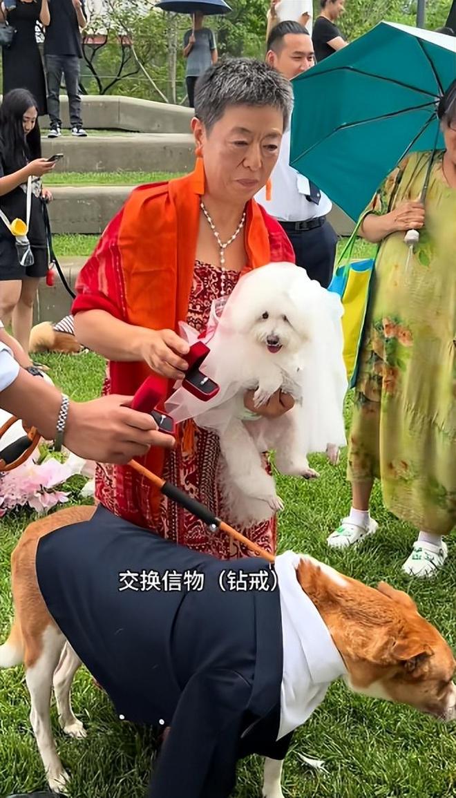 送豪宅豪车法拉利接亲外国小伙乐坏了CQ9电子游戏网站富婆给狗办婚礼