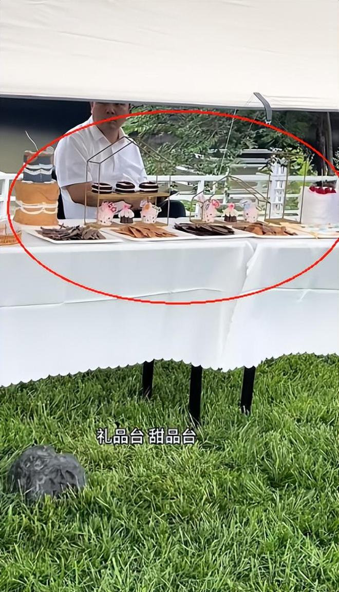 送豪宅豪车法拉利接亲外国小伙乐坏了CQ9电子游戏网站富婆给狗办婚礼(图9)