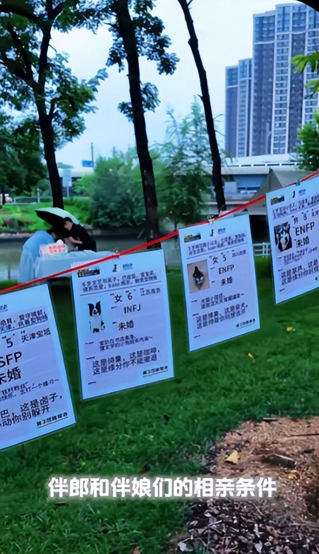 送豪宅豪车法拉利接亲外国小伙乐坏了CQ9电子游戏网站富婆给狗办婚礼(图22)