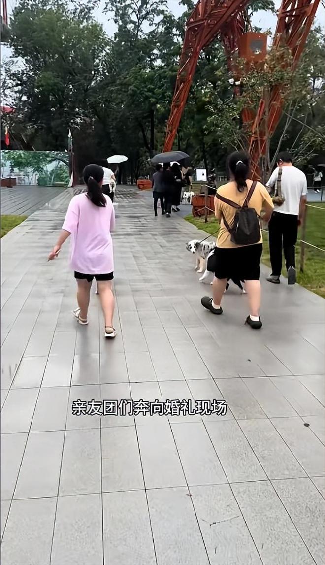 送豪宅豪车法拉利接亲外国小伙乐坏了CQ9电子游戏网站富婆给狗办婚礼(图7)