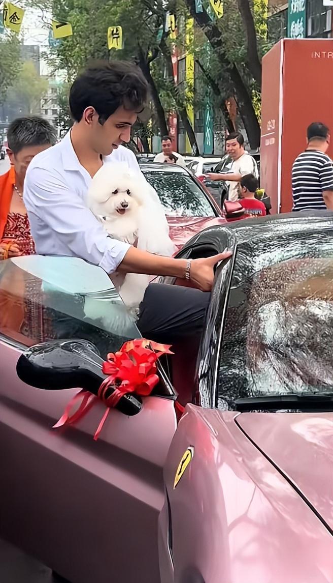 送豪宅豪车法拉利接亲外国小伙乐坏了CQ9电子游戏网站富婆给狗办婚礼(图11)